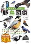 散歩や旅先で出会う野鳥図鑑 オールカラー３００点 （ビジュアルだいわ文庫）