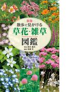 新版　散歩で見かける　草花・雑草図鑑