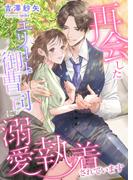 再会したエリート御曹司に溺愛執着されています(こはく文庫)