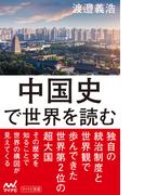 中国史で世界を読む(マイナビ新書)