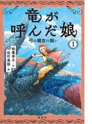 【全1-5セット】竜が呼んだ娘