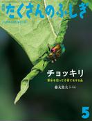 チョッキリ（たくさんのふしぎ2024年5月号）