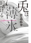 兎は薄氷に駆ける