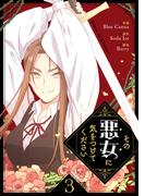 その悪女に気をつけてください 3