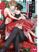 白衣の虎は極道で絶倫【単行本版】～闇医者ヤクザに毎晩溺愛されて…～2(黒ひめコミック)