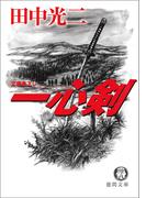 一心剣(徳間文庫)