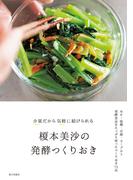 榎本美沙の発酵つくりおき 少量だから気軽に続けられる