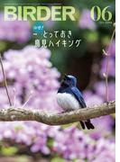 BIRDER2024年6月号