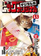 ビッグコミックオリジナル　2024年11号（2024年5月20日発売)