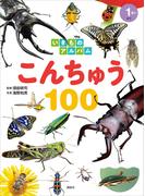 いきものアルバム　こんちゅう１００(どうぶつアルバム)