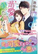 鉄仮面CEOの溺愛は待ったなし！～“妻業”始めたはずが、旦那様が甘やかし過剰です～(ベリーズ文庫)