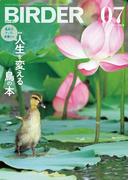BIRDER2024年7月号