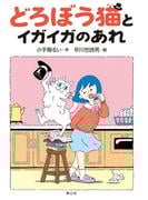 どろぼう猫とイガイガのあれ