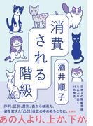 消費される階級(集英社ノンフィクション)