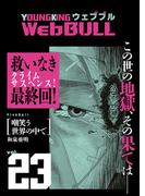 Web BULL23号