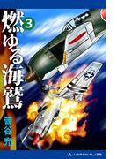 燃ゆる海鷲（３）