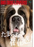 BIG DOG LOVERS