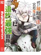 味方が弱すぎて補助魔法に徹していた宮廷魔法師、追放されて最強を目指す（12）