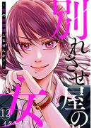 別れさせ屋の女～愛の断捨離しませんか？～12(comic donna)