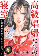 【6-10セット】高級娼婦たちの寝室 ～闇聖母スカウトキャラバン～(ストーリーな女たち)