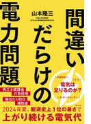 間違いだらけの電力問題