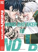 ＷＩＮＤ　ＢＲＥＡＫＥＲ（18）