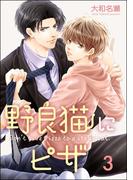 野良猫にピザ（分冊版） 【第3話】(GUSH COMICS)