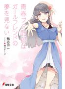 青春ブタ野郎はガールフレンドの夢を見ない(電撃文庫)