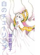 白のチューリップ(1)