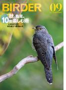 BIRDER2024年9月号