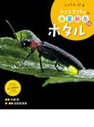 ホタル１６　しゃしん絵本　小さな生きものの春夏秋冬