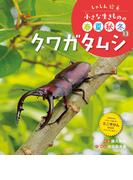 クワガタムシ１３　しゃしん絵本　小さな生きものの春夏秋冬