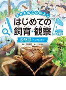 ヤゴ６　生きものとなかよし　はじめての飼育・観察