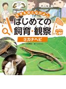 カナヘビ３　生きものとなかよし　はじめての飼育・観察