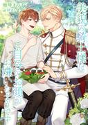 美貌の騎士様はご自分のお顔がお嫌いなようです(ヴィオラ文庫)