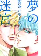 夢の迷宮(1)
