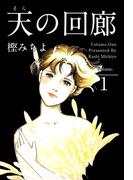 天の回廊(1)