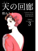 天の回廊(3)