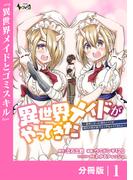 異世界メイドがやってきた～異邦人だった頃のメイドが現代の我が家でエッチなメイドさんに～【分冊版】（ノヴァコミックス）１(ノヴァコミックス)