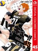 ハイキュー!! カラー版 45(ジャンプコミックスDIGITAL)