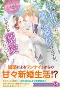 半年後に円満離婚のはずが、なぜだか溺愛されています【特典SS付】【イラスト付】(フェアリーキス)