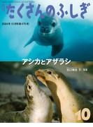 アシカとアザラシ（たくさんのふしぎ2024年10月号）