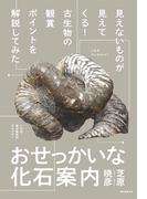 おせっかいな化石案内