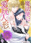 【11-15セット】魔法使いの愛玩人形　異世界に落ちたOLは愛と魔力を注がれる(Precious Love)