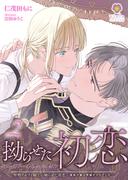 堅物アルファ騎士の拗らせた初恋～運命の番は男娼オメガでした～2(ヴィオラ文庫)