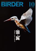 BIRDER2024年10月号