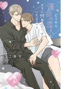 どうやら運命の恋人とすでに付き合っていたようです【honto限定おまけ付き】(新書館ディアプラス文庫)