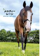 メロディーレーン SPECIAL FAN BOOK(競馬王)