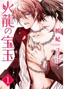 【1-5セット】火龍の宝玉(Spicy Whip)