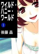 【全1-3セット】ワイルド・ハニー・ワールド